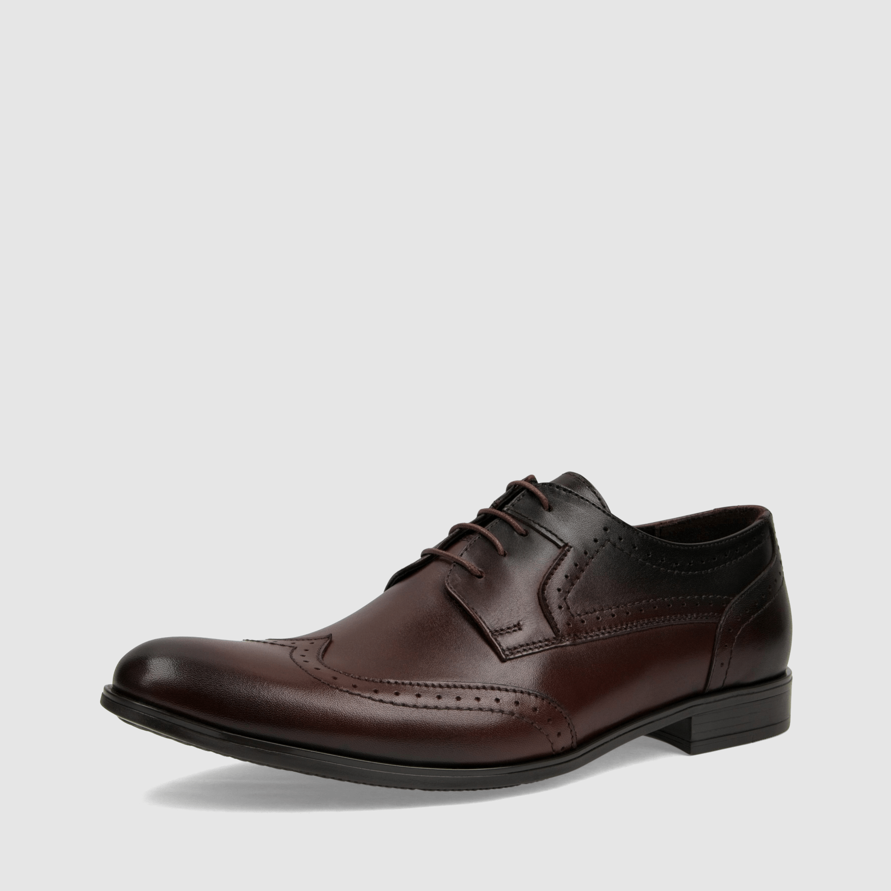 Półbut wizytowy TAPI H - 5651 brązowa licowa skóra - TAPI nero - Półbuty eleganckie sznurowane - Brązowy - 1